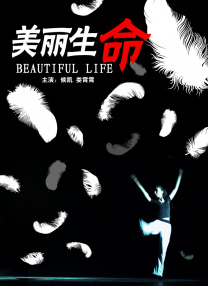 一区二区三区在线观看免费